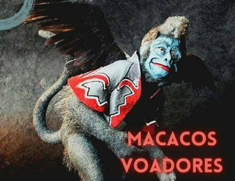 Macacos Voadores